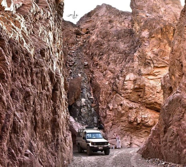 31749514_10155542022583857_1324946210510864384_o