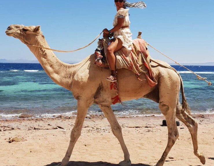 120421906_3424044294301372_7368811381189014917_n